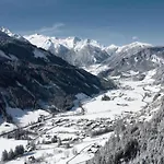 Joep * Wald im Pinzgau