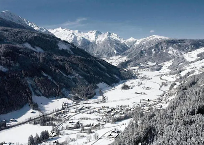 Joep * Wald im Pinzgau